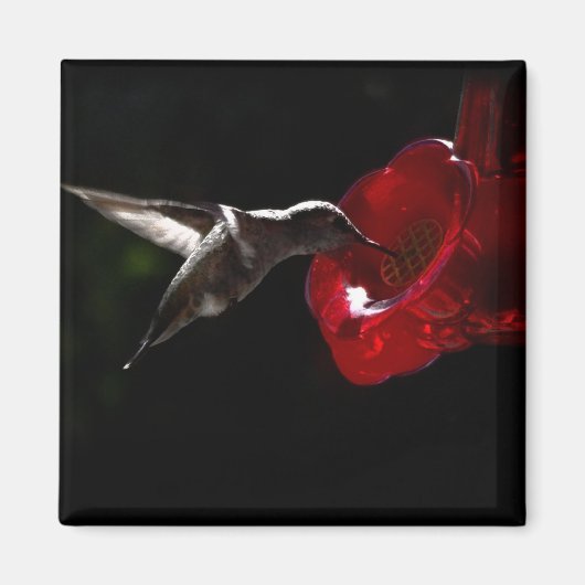 Sneaking een middernacht snack magneet (Voorkant)