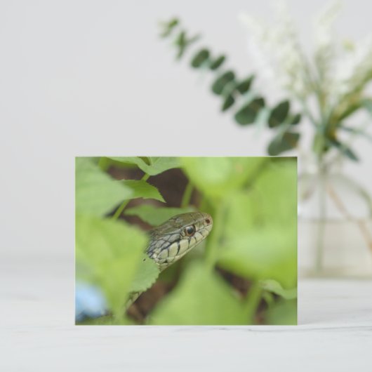 Sneaking Snake Briefkaart (Staand voorkant)