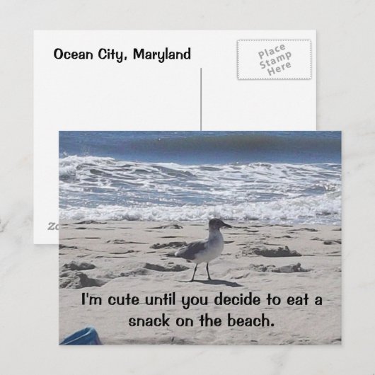 Sneaky Bird op Beach Briefkaart (Voorkant / Achterkant)