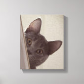 "Sneaky Cat" Print op stretched canvas (Voorkant)