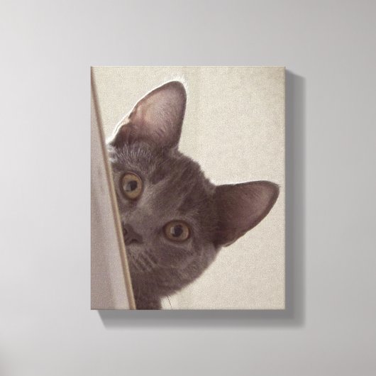 "Sneaky Cat" Print op stretched canvas (Voorkant)