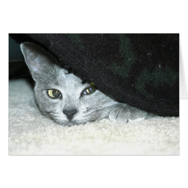 Sneaky Karma (Voorkant Horizontaal)