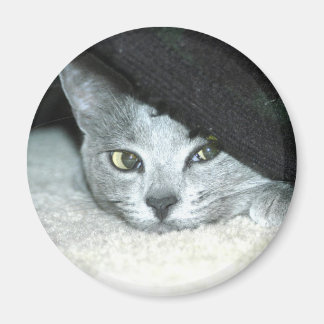 Sneaky Karma Magneet