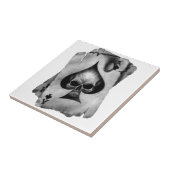 Snede Schaal Tegeltje (Zijkant)