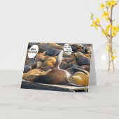 Snede Slaap-gekweekte kaart (Gele Bloem)