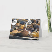 Snede Slaap-gekweekte kaart (Voorkant)