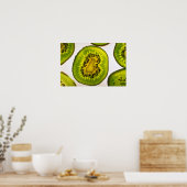 Snede van kiwi-vruchten poster (Keuken)