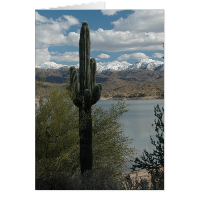 SNEE OP DE PIEKEN (Voorkant)