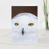 SNEE OWL BIRTHDAY KAART (Voorkant)