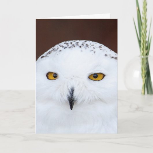 SNEE OWL BIRTHDAY KAART (Voorkant)