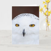 SNEE OWL BIRTHDAY KAART (Gele Bloem)