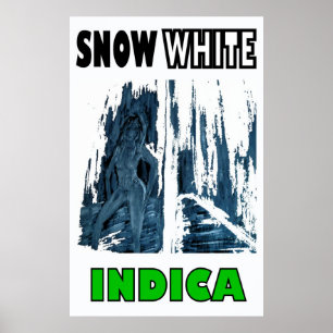 SNEE WHITE INDICA POSTER
