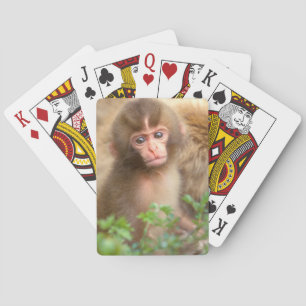 Sneeuw aap baby portret pokerkaarten
