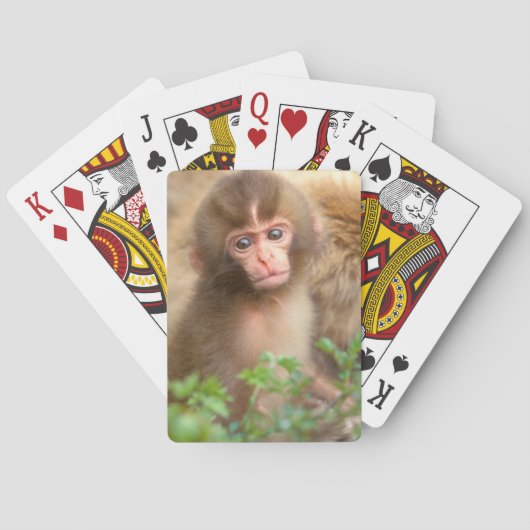 Sneeuw aap baby portret pokerkaarten (Achterkant)