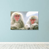 Sneeuw aap koppel, Japanse makaak, Canvas Afdruk (Insitu (Houten vloer))