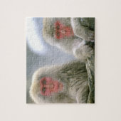 Sneeuw aap koppel, Japanse makaak, Legpuzzel (Verticaal)