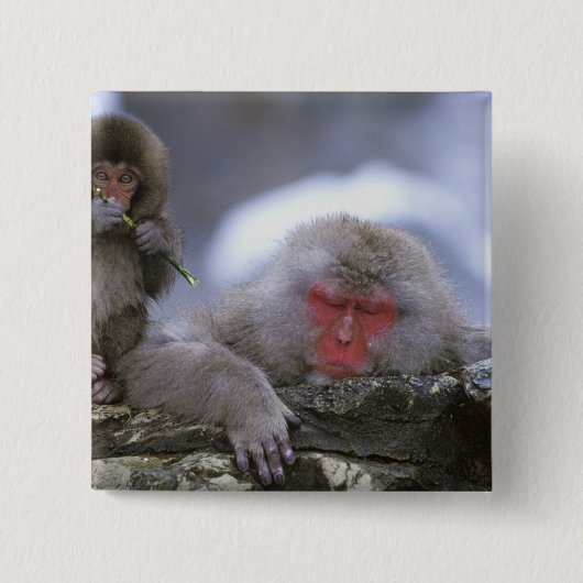 Sneeuw aap moeder & kind, Jigokudani, Nagano, Vierkante Button 5,1 Cm (Voorkant)