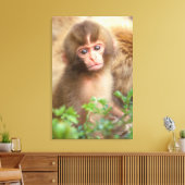 Sneeuw aapje portret canvas afdruk (Insitu (Woonkamer))