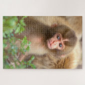 Sneeuw aapje portret legpuzzel (Horizontaal)