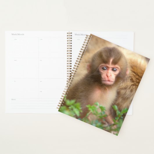 Sneeuw aapje portret planner (Display)