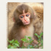 Sneeuw aapje portret planner (Voorkant)
