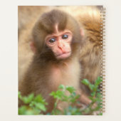 Sneeuw aapje portret planner (Achterkant)