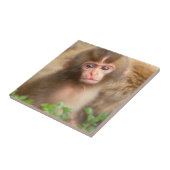 Sneeuw aapje portret tegeltje (Zijkant)