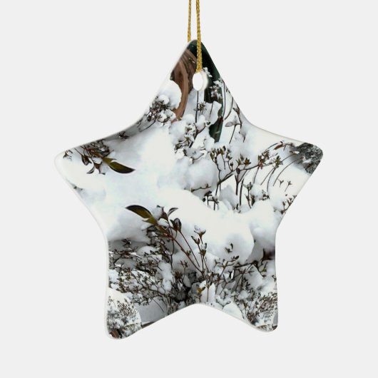 Sneeuw Abstract Keramisch Ornament (Rechts)