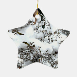 Sneeuw Abstract Keramisch Ornament