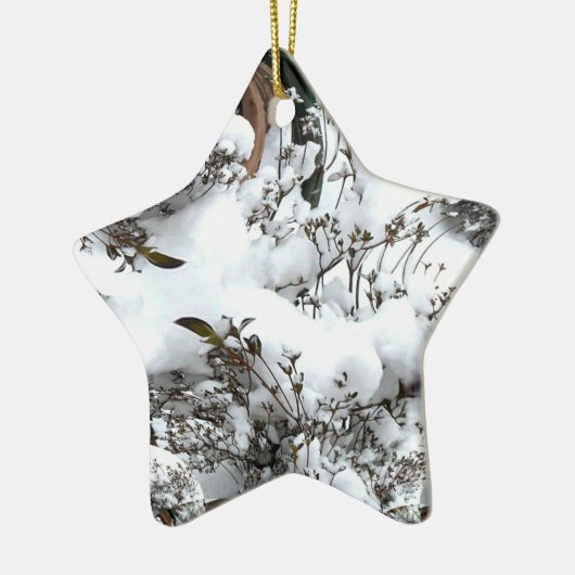 Sneeuw Abstract Keramisch Ornament (Links)