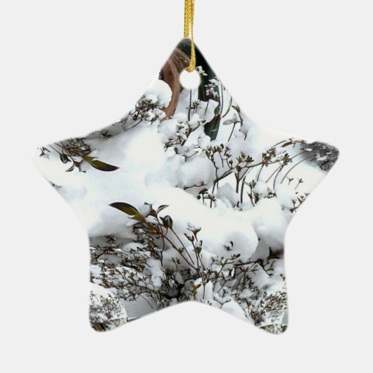 Sneeuw Abstract Keramisch Ornament (Achterkant)