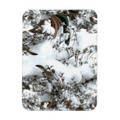Sneeuw Abstract Magneet (Verticaal)