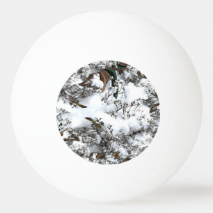 Sneeuw Abstract Pingpongbal