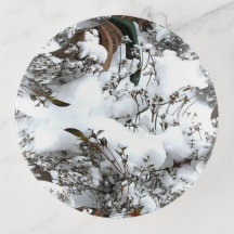 Sneeuw Abstract