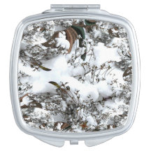 Sneeuw Abstracte Compact Mirror