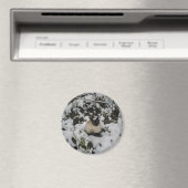 Sneeuw Afbeeldingen, Sneeuwkat Magneet (Insitu (Vaatwasser))