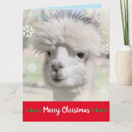 Sneeuw Alpaca Kerstkaart Kaart (Voorkant)