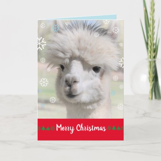 Sneeuw Alpaca Kerstkaart Kaart (Voorkant)