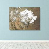 Sneeuw bedekt de Rocky Mountains in de Verenigde S Canvas Afdruk (Insitu (Houten vloer))