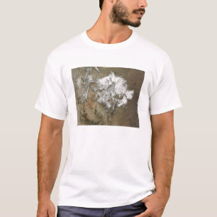 Sneeuw bedekt de Rocky Mountains in de Verenigde S T-shirt