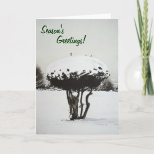 Sneeuw bedekt landschap Senic Christmas Feestdagen Kaart