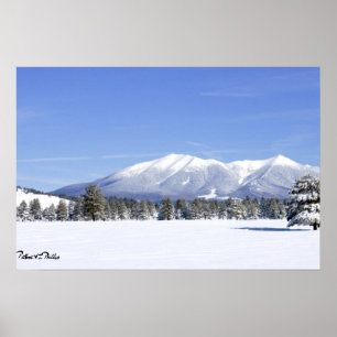 Sneeuw bedekt Prairie & San Francisco Peaks Arizon Poster