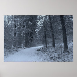 Sneeuw bedekt wandelpad 1 poster