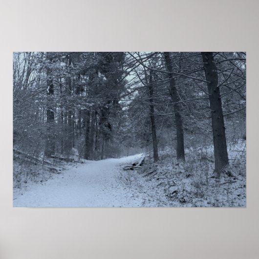 Sneeuw bedekt wandelpad 1 poster (Voorkant)