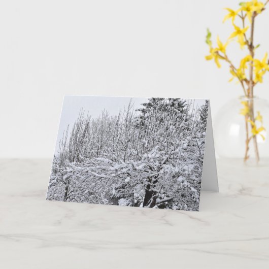 Sneeuw bedekte bomen kaart (Gele Bloem)