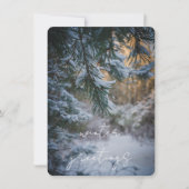 Sneeuw bedekte dennen takken feestdagenkaart (Voorkant)