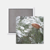 Sneeuw bedekte dennenappel. magneet (Voorkant / Achterkant)