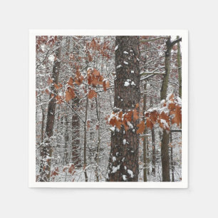 Sneeuw bedekte eikenbomen Winter natuur fotografie Servet