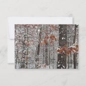 sneeuw bedekte eikenbomen WinterNatuur fotografie (Voorkant)