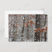 sneeuw bedekte eikenbomen WinterNatuur fotografie (Voorkant / Achterkant)